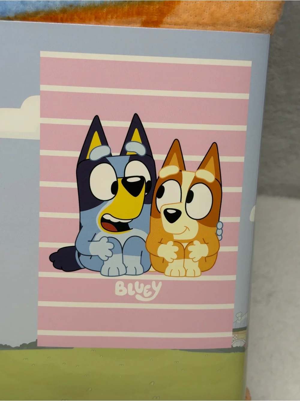 Bluey Blanket Super Soft Kids Bedding